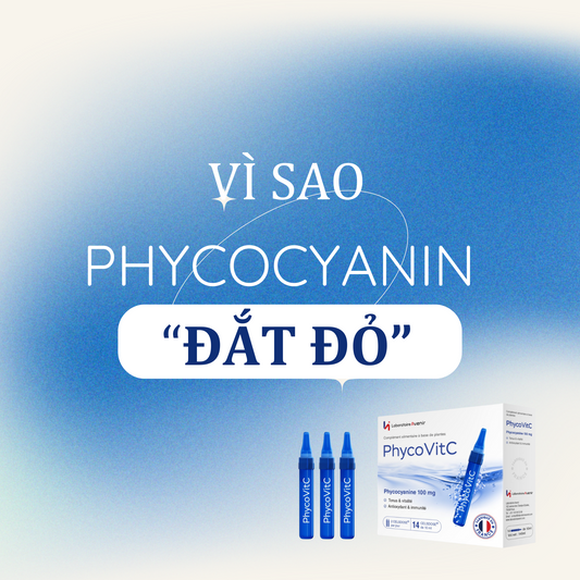 Vì Sao Phycocyanin Đắt Đỏ? Khám Phá Giá Trị "Vàng" Bên Trong PhycoVitC