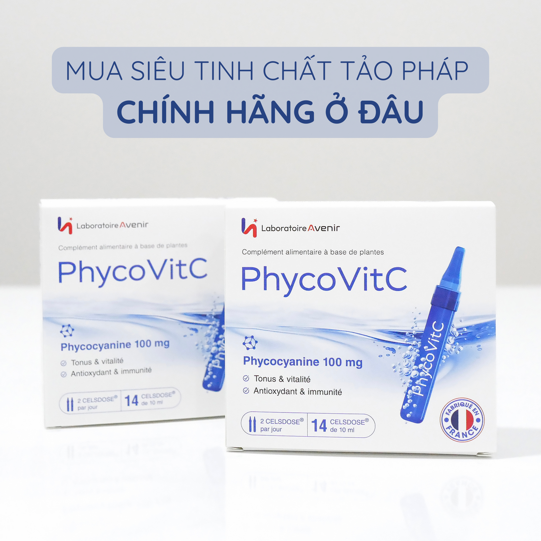 Mua Tảo Pháp PhycovitC Chính Hãng Ở Đâu? Hướng Dẫn Chi Tiết Cho Người Tiêu Dùng