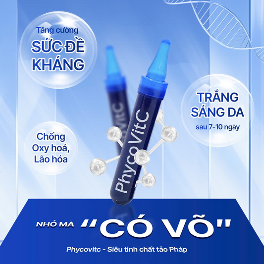 3 Tác Dụng Nổi Bật Của Tảo Pháp PhycoVitC: Khỏe Cơ Thể – Đẹp Làn Da – Năng Lượng Mỗi Ngày