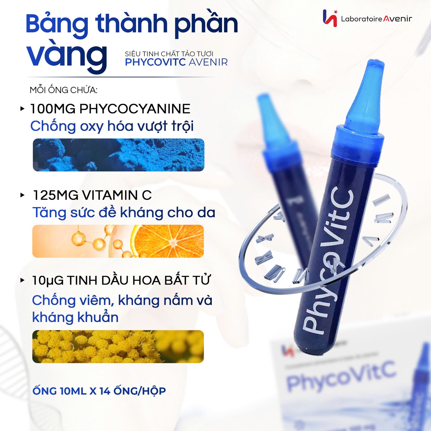 Siêu Tinh Chất Tảo Pháp PhycovitC