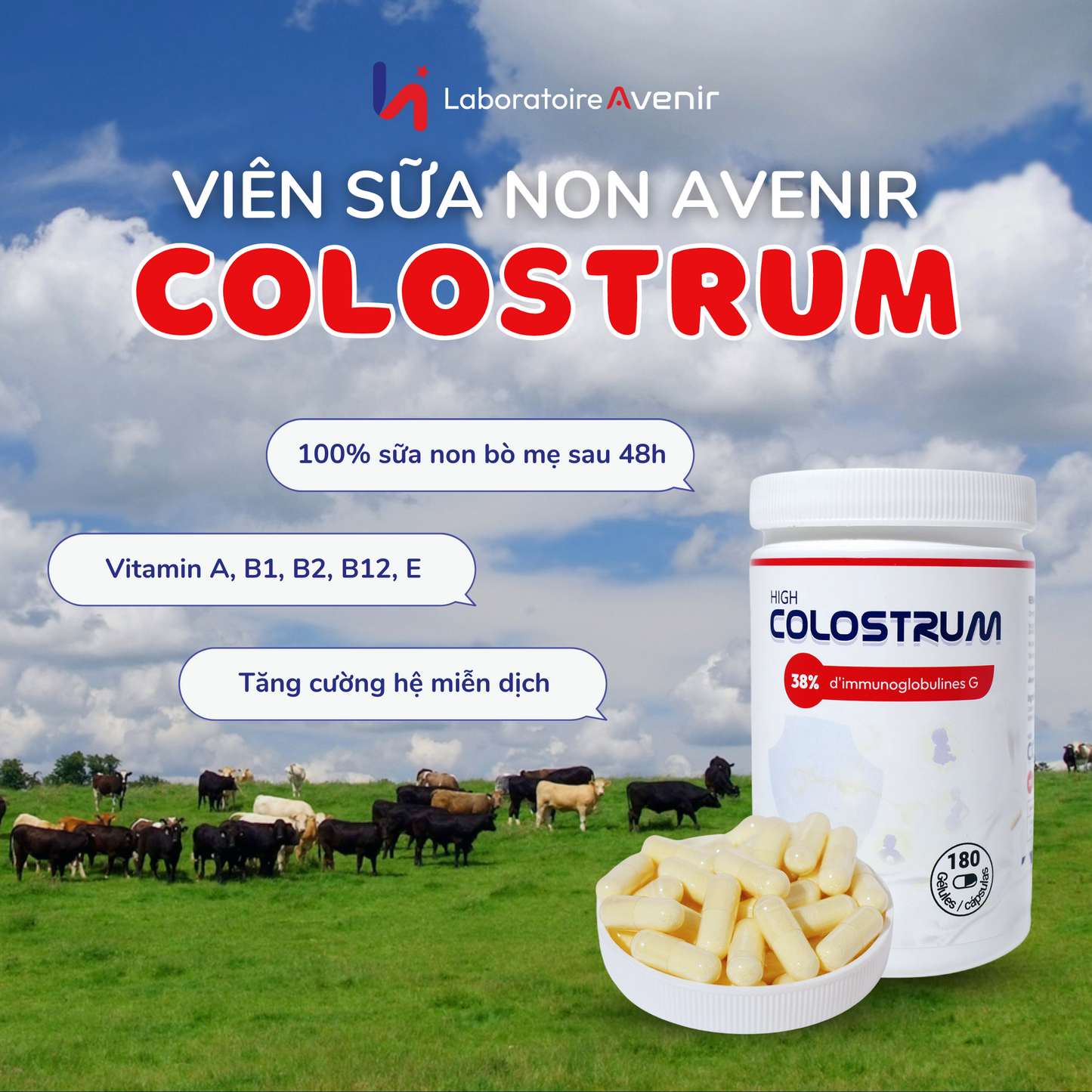 Sữa Non Vàng Tăng Đề Kháng High Colostrum Avenir